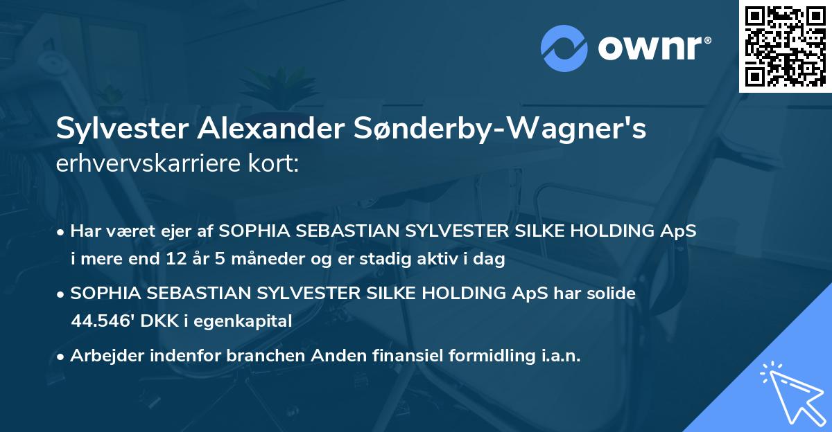 Sylvester Alexander Sønderby-Wagner's erhvervskarriere kort