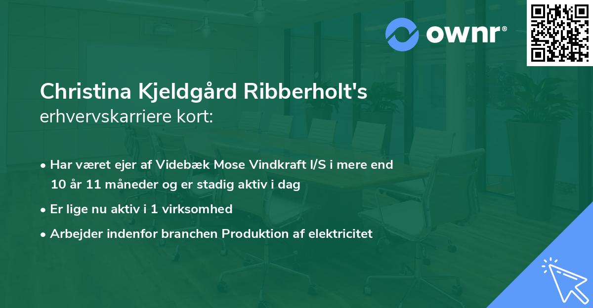 Christina Kjeldgård Ribberholt's erhvervskarriere kort