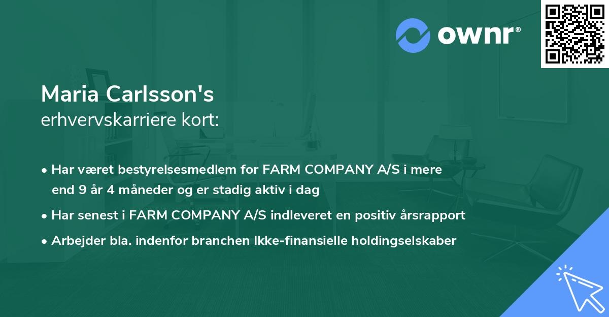 Maria Carlsson's erhvervskarriere kort