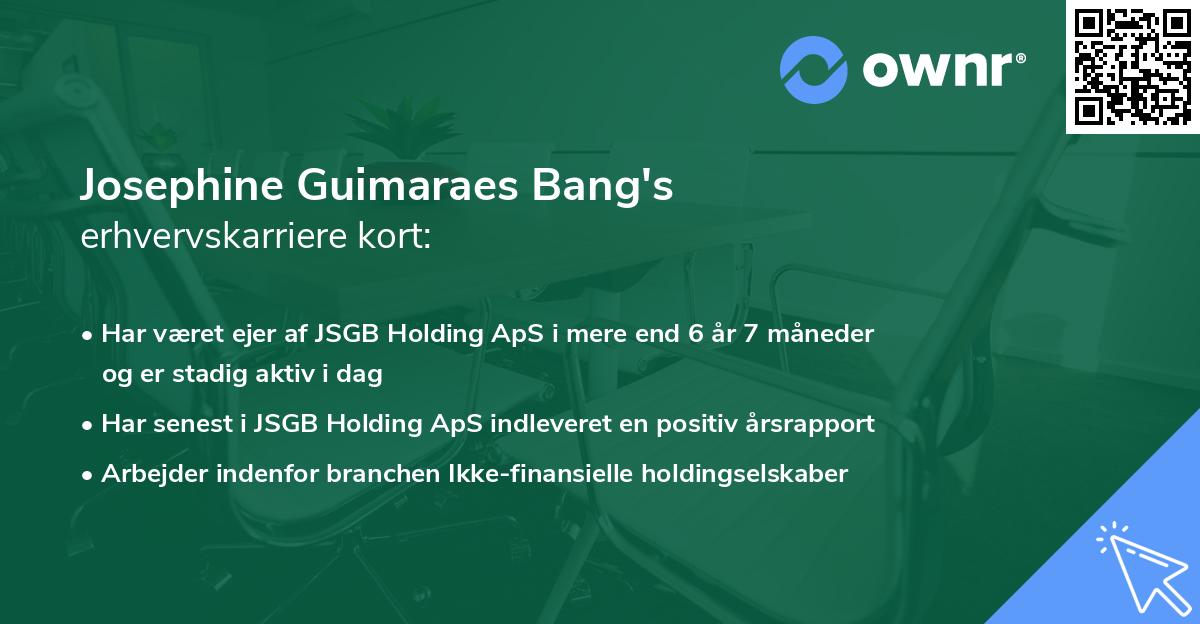 Josephine Guimaraes Bang's erhvervskarriere kort