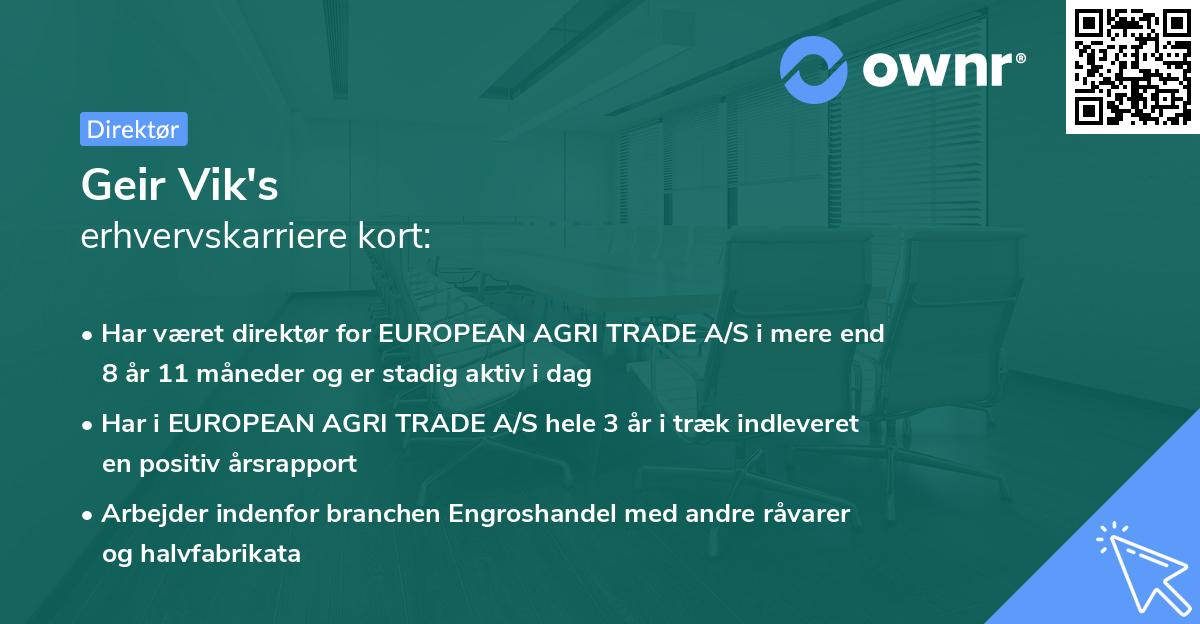 Geir Vik's erhvervskarriere kort