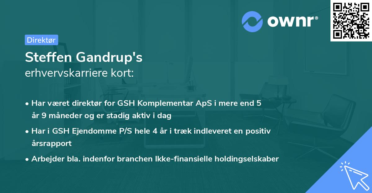 Steffen Gandrup's erhvervskarriere kort
