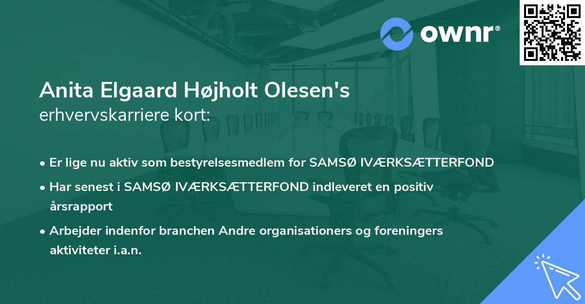 Anita Elgaard Højholt Olesen's erhvervskarriere kort