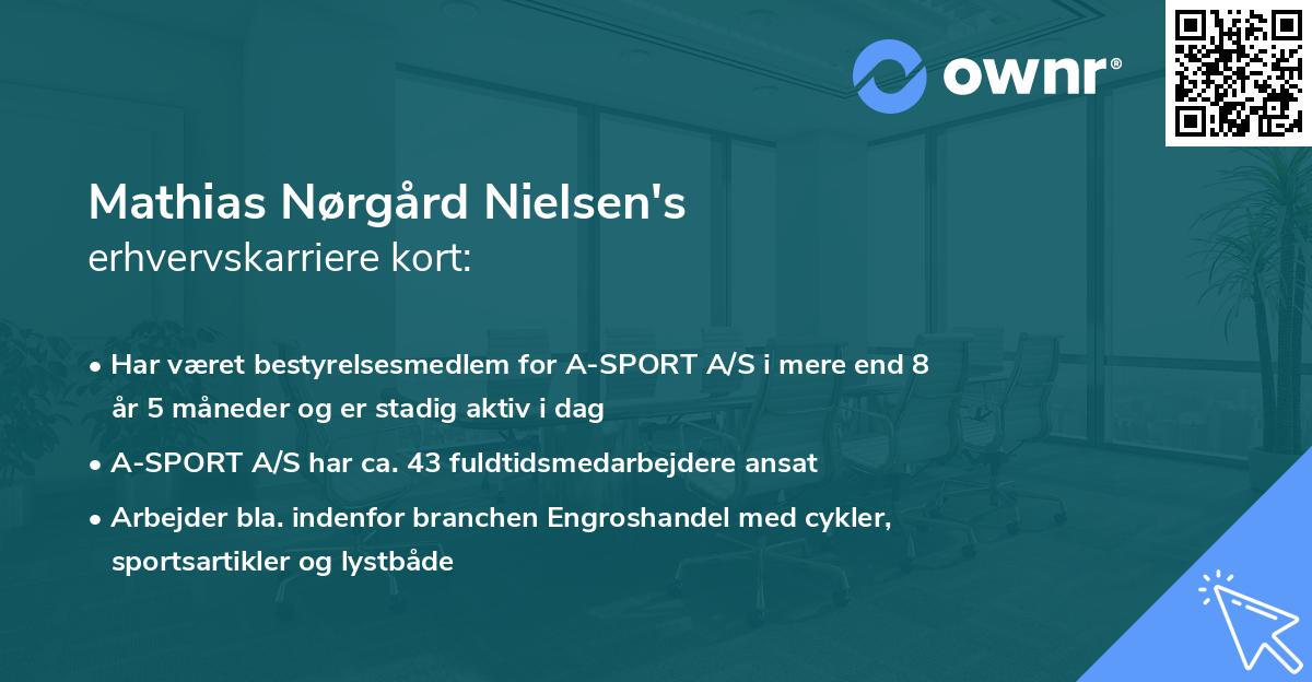 Mathias Nørgård Nielsen's erhvervskarriere kort