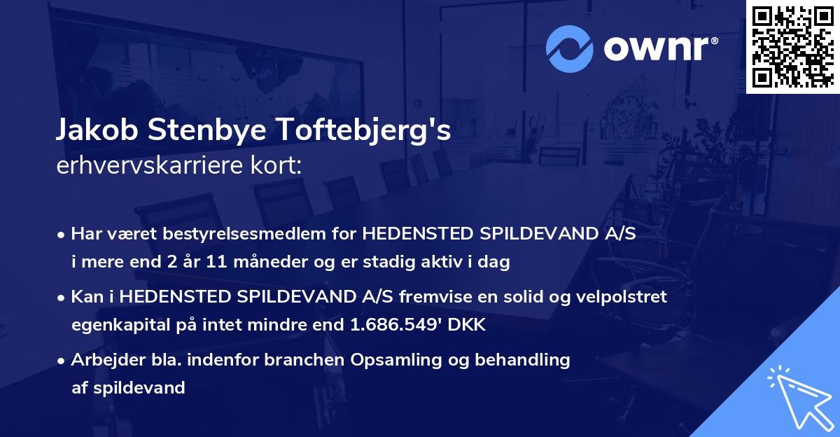 Jakob Stenbye Toftebjerg's erhvervskarriere kort