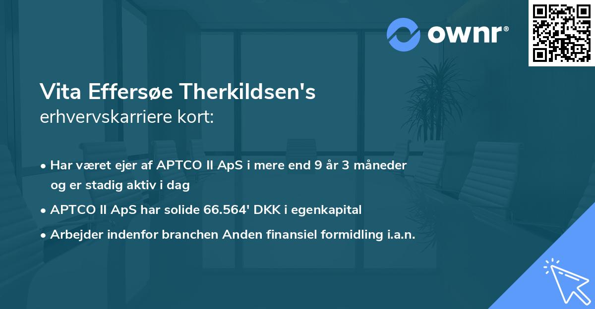 Vita Effersøe Therkildsen's erhvervskarriere kort