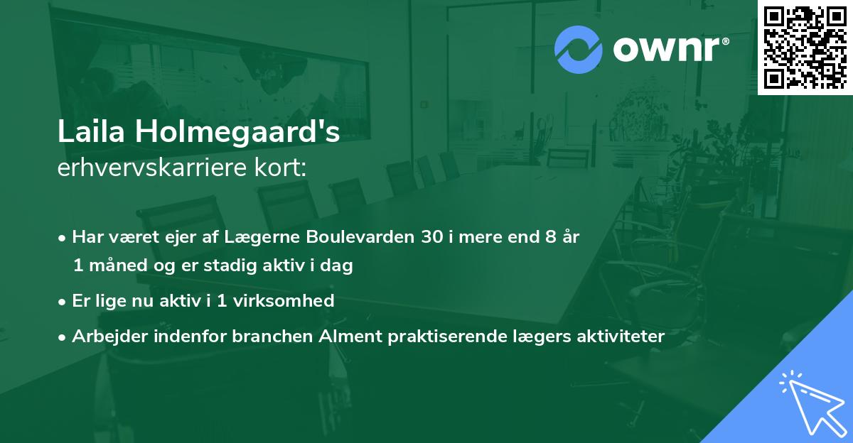 Laila Holmegaard's erhvervskarriere kort