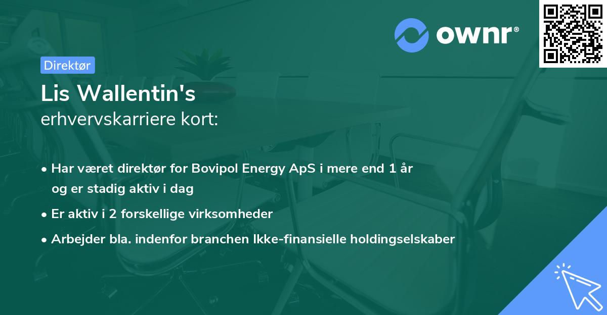 Lis Wallentin's erhvervskarriere kort