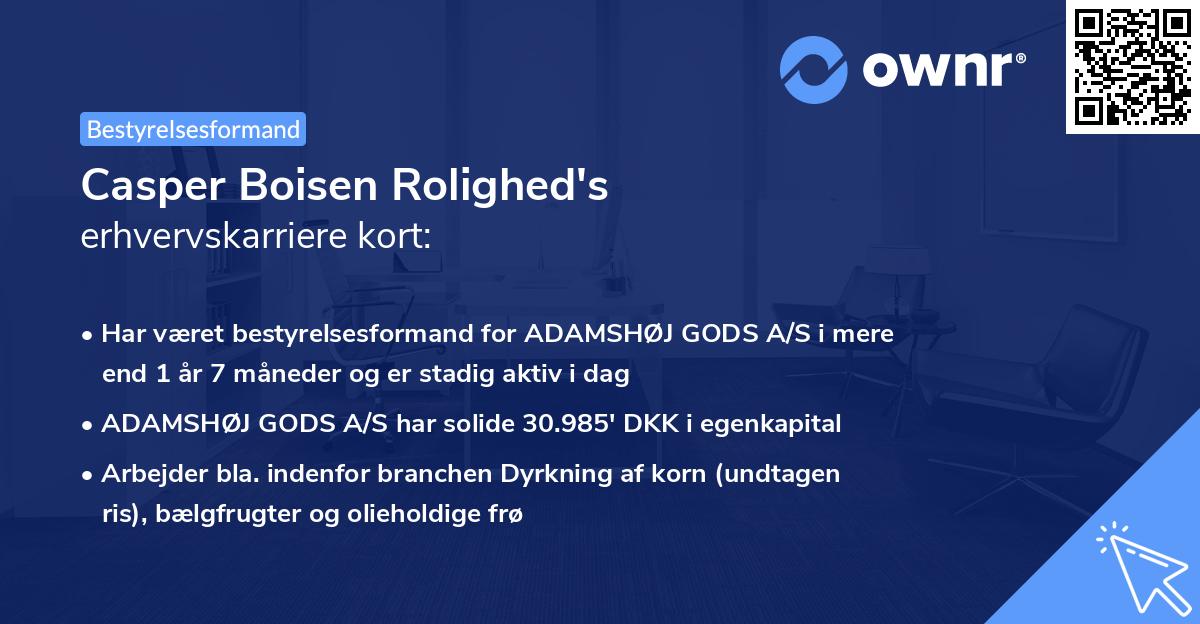 Casper Boisen Rolighed's erhvervskarriere kort