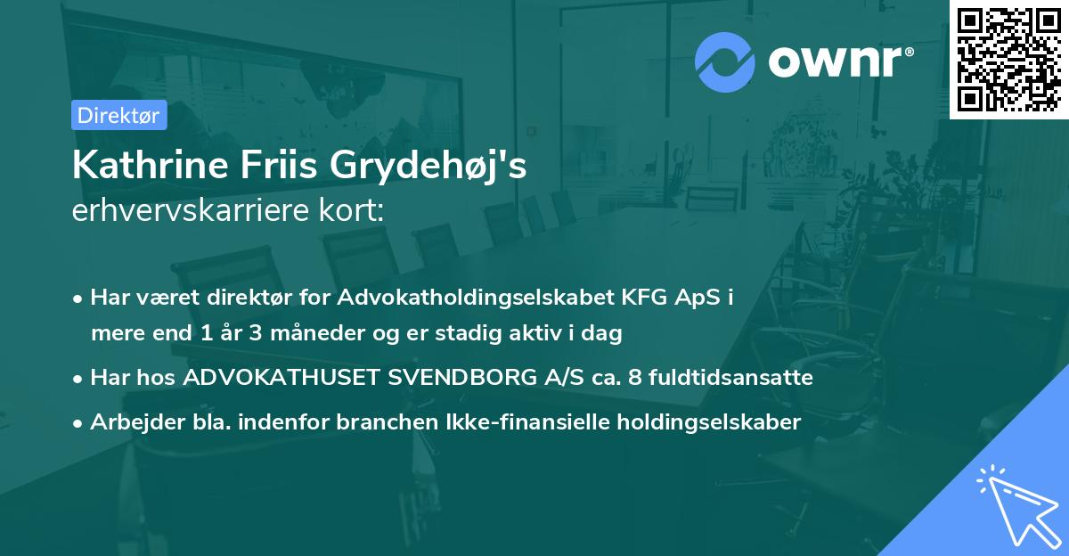 Kathrine Friis Grydehøj's erhvervskarriere kort