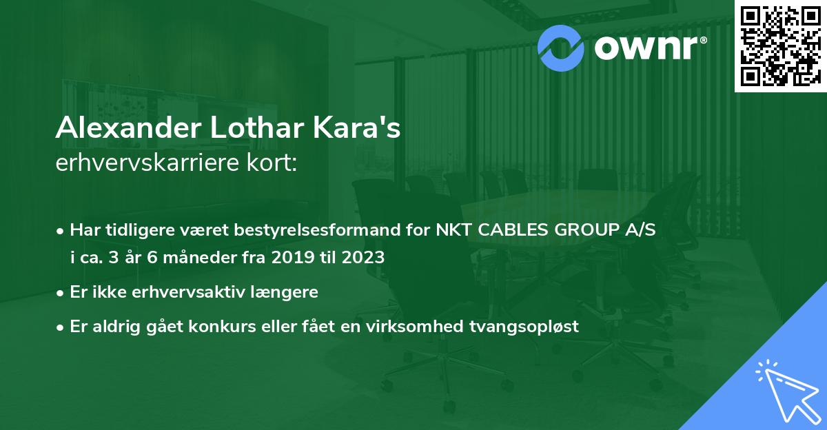 Alexander Lothar Kara's erhvervskarriere kort