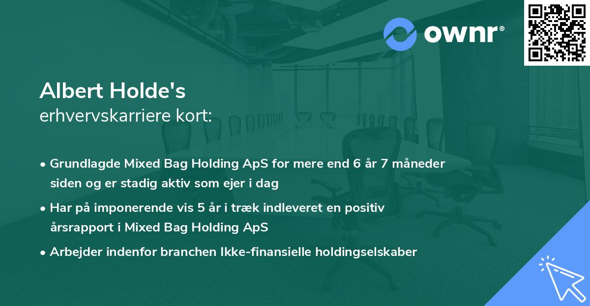 Albert Holde's erhvervskarriere kort