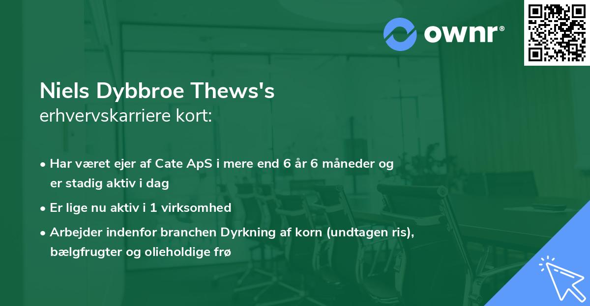 Niels Dybbroe Thews's erhvervskarriere kort