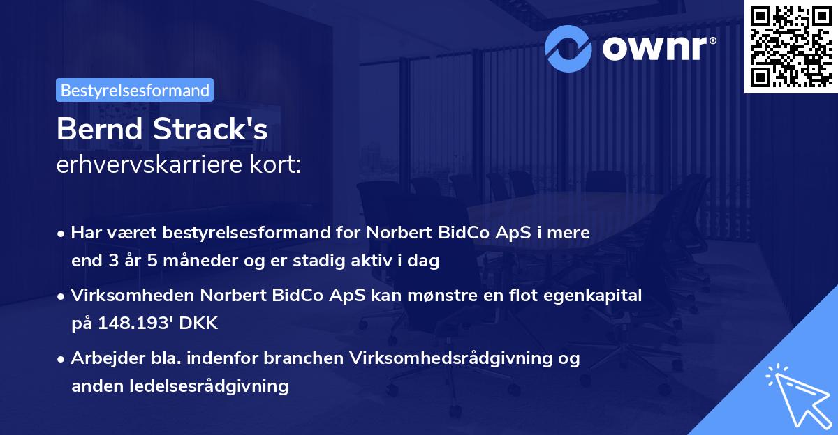 Bernd Strack's erhvervskarriere kort