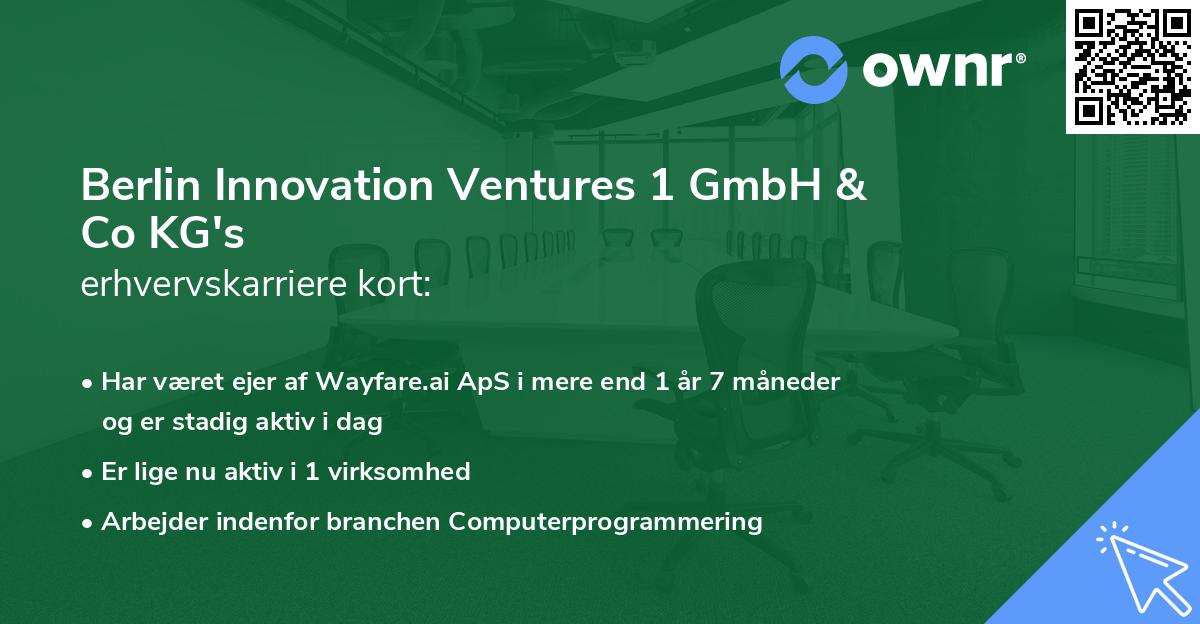 Berlin Innovation Ventures 1 GmbH & Co KG's erhvervskarriere kort