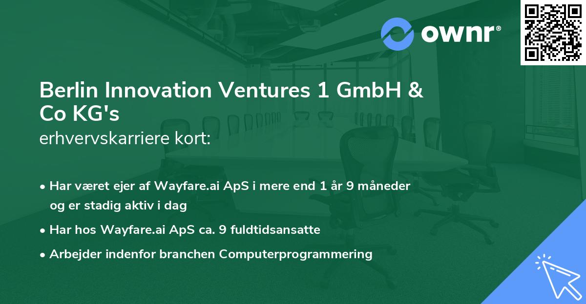 Berlin Innovation Ventures 1 GmbH & Co KG's erhvervskarriere kort