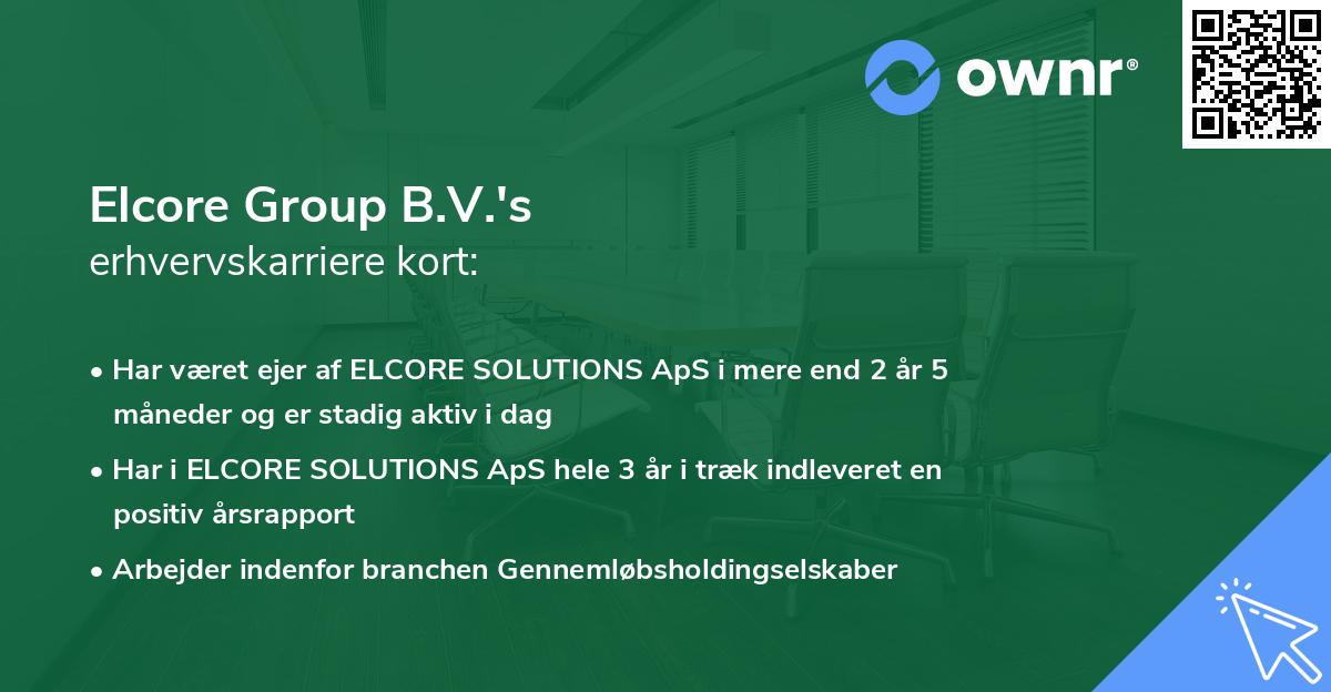 Elcore Group B.V.'s erhvervskarriere kort