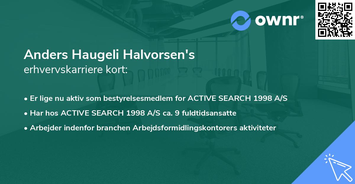 Anders Haugeli Halvorsen's erhvervskarriere kort