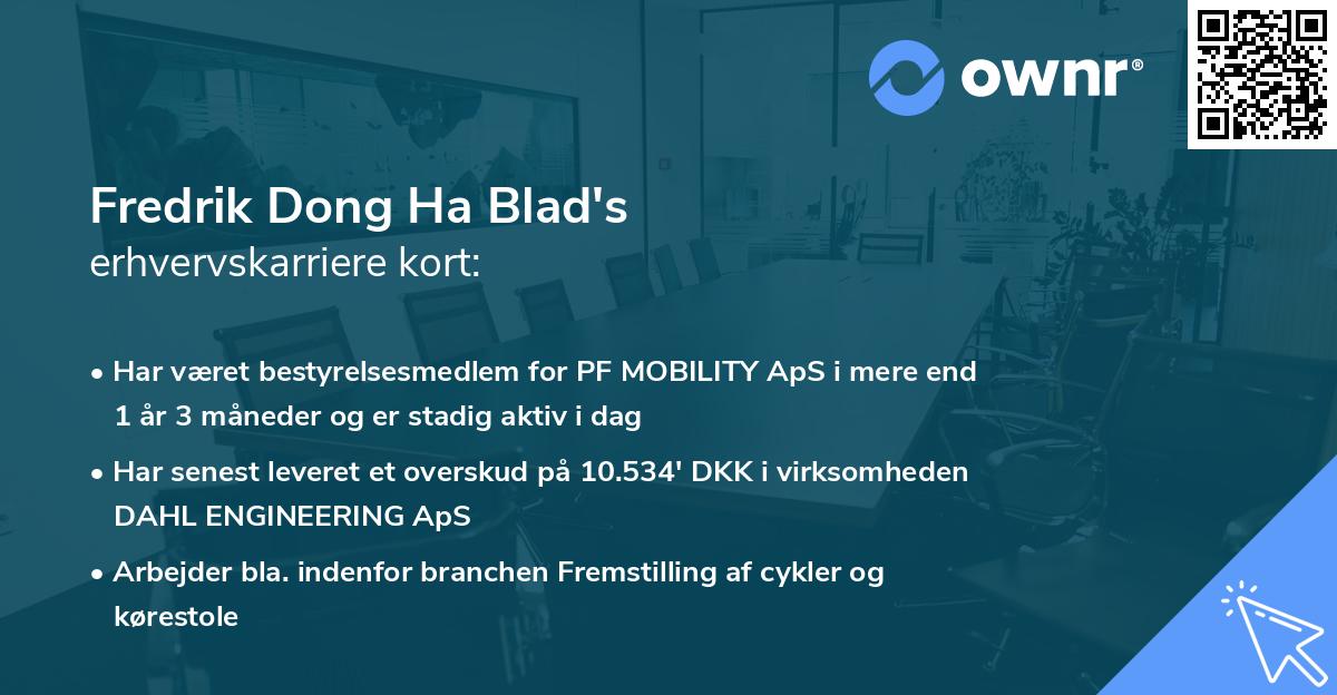 Fredrik Dong Ha Blad's erhvervskarriere kort