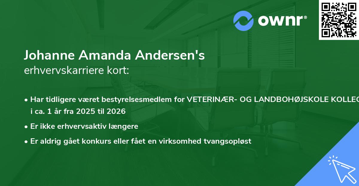 Johanne Amanda Andersen's erhvervskarriere kort