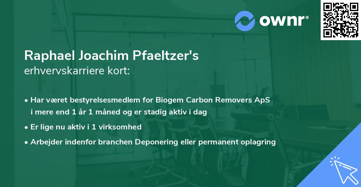 Raphael Joachim Pfaeltzer's erhvervskarriere kort