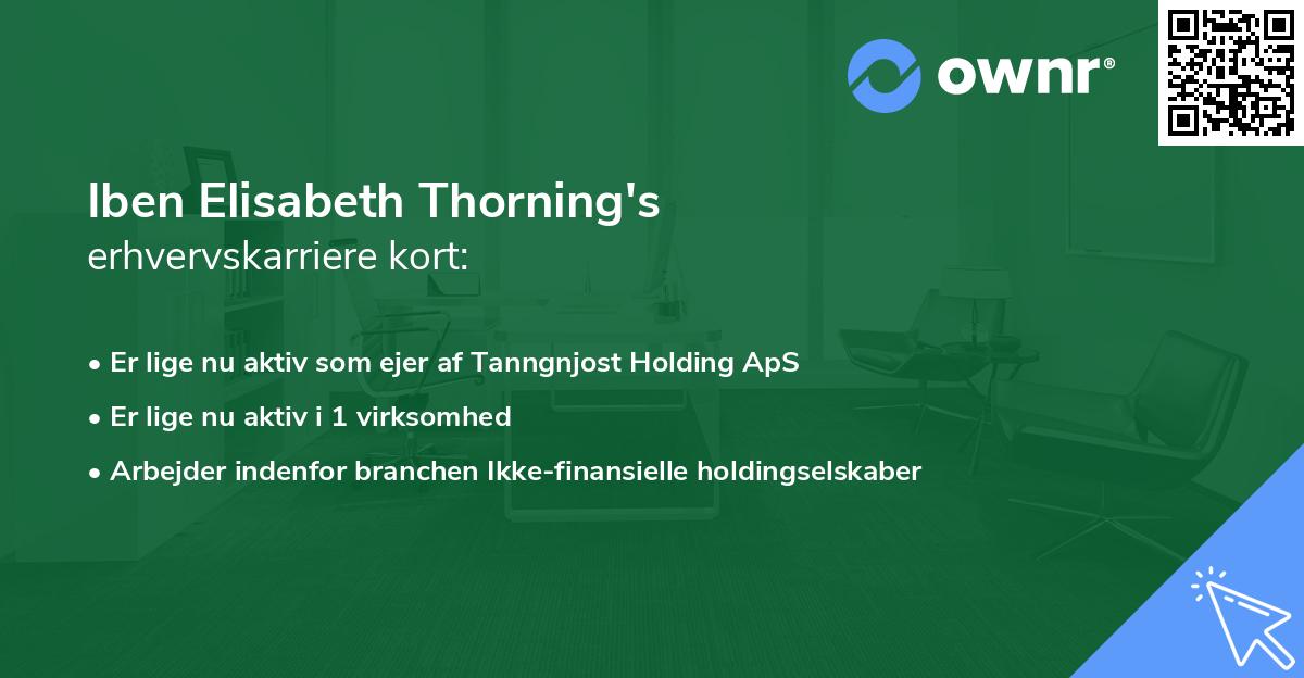 Iben Elisabeth Thorning's erhvervskarriere kort