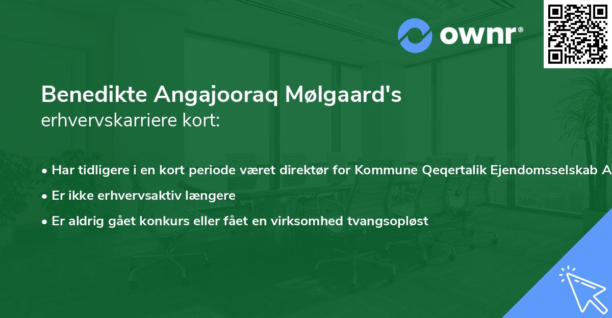 Benedikte Angajooraq Mølgaard's erhvervskarriere kort