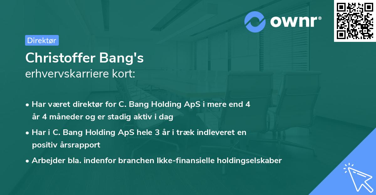 Christoffer Bang's erhvervskarriere kort