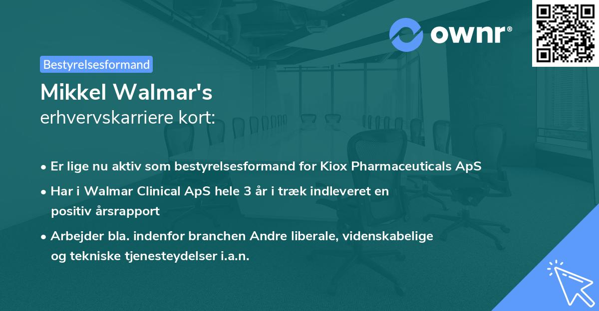 Mikkel Walmar's erhvervskarriere kort