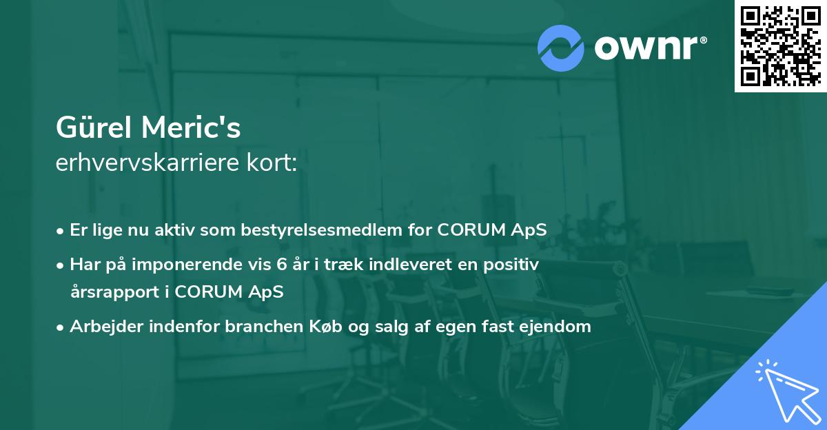 Gürel Meric's erhvervskarriere kort