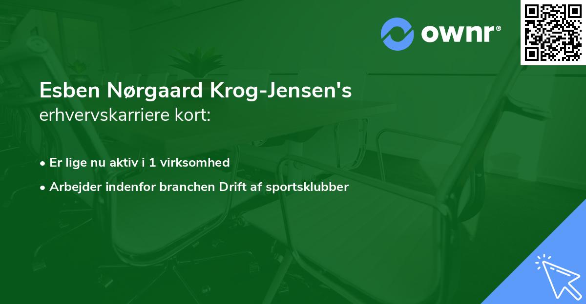 Esben Nørgaard Krog-Jensen's erhvervskarriere kort