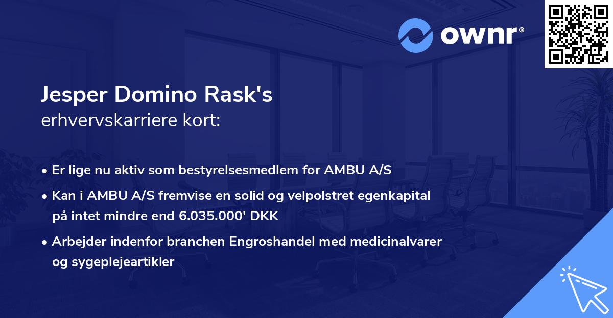 Jesper Domino Rask's erhvervskarriere kort