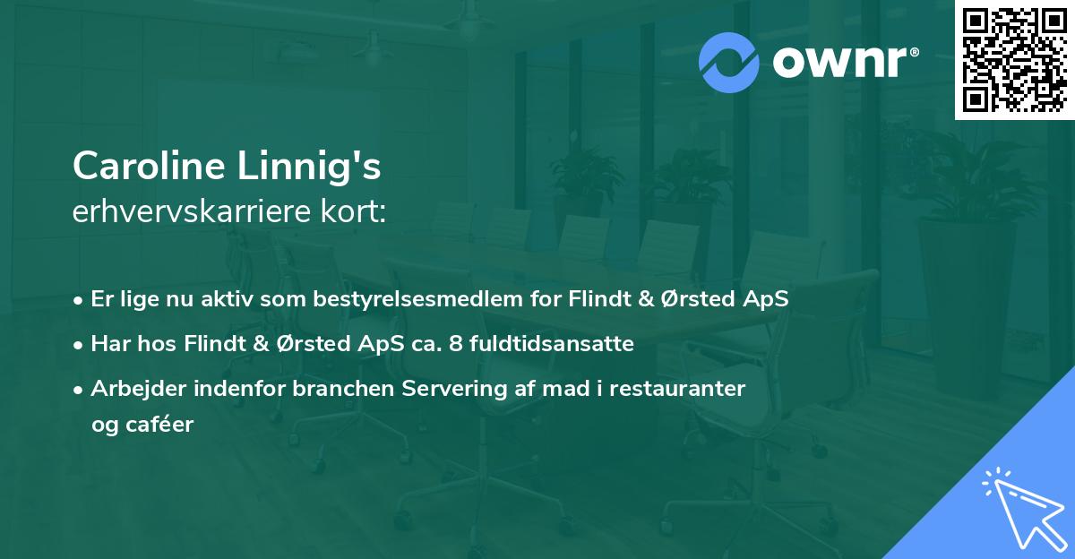 Caroline Linnig's erhvervskarriere kort