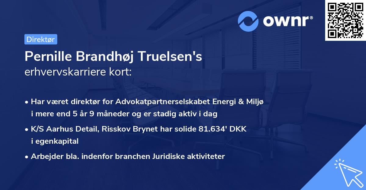 Pernille Brandhøj Truelsen's erhvervskarriere kort
