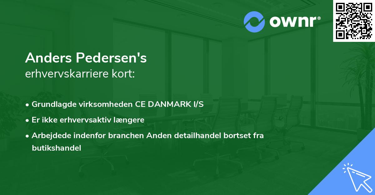 Anders Pedersen's erhvervskarriere kort