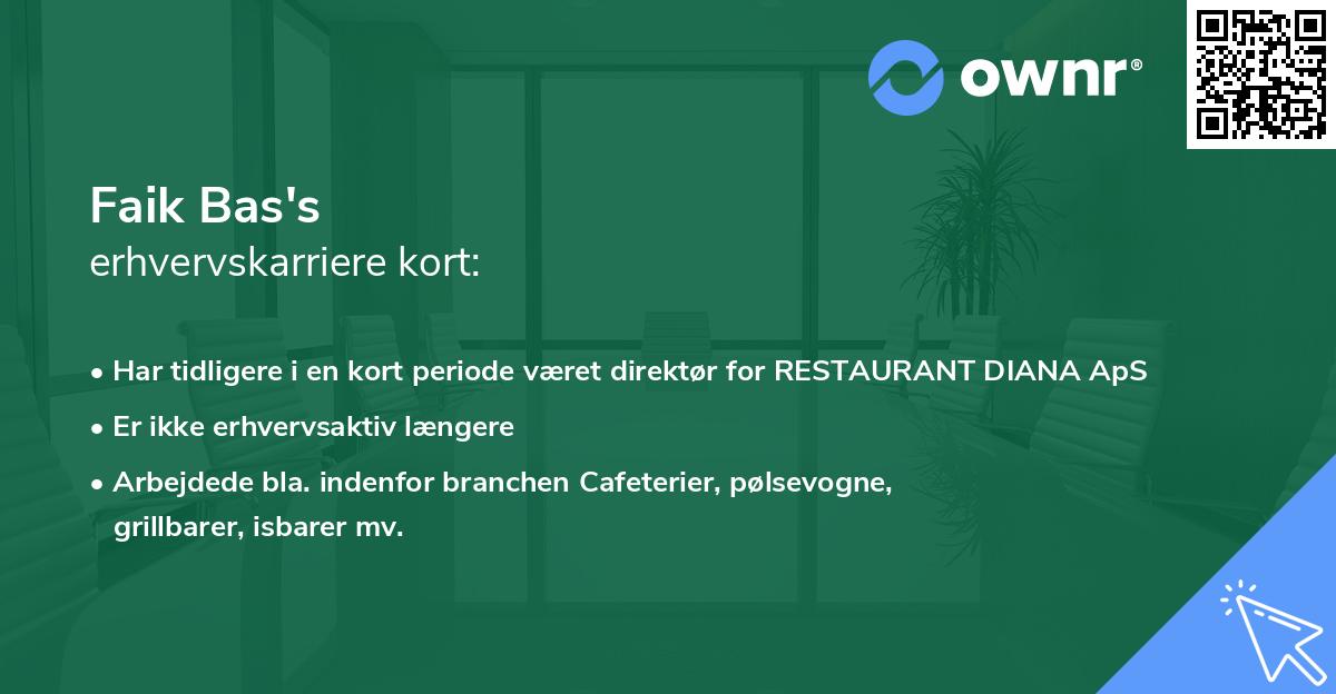 Faik Bas's erhvervskarriere kort