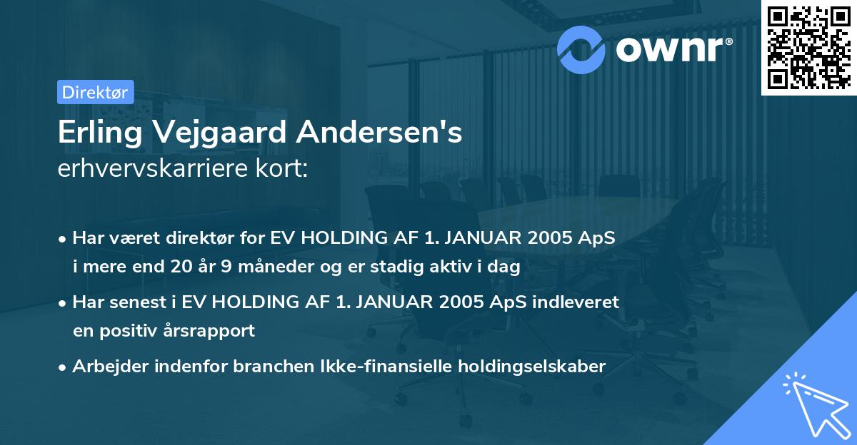 Erling Vejgaard Andersen's erhvervskarriere kort