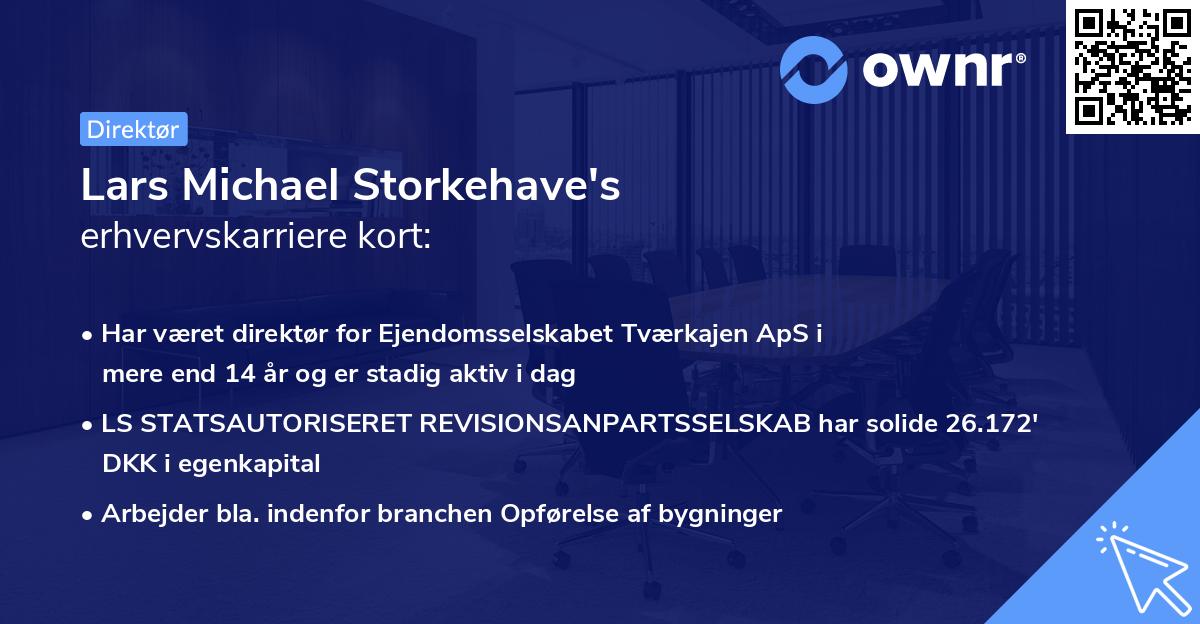 Lars Michael Storkehave's erhvervskarriere kort