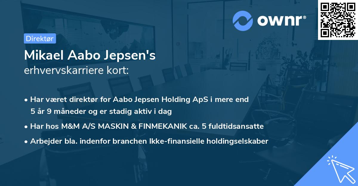 Mikael Aabo Jepsen's erhvervskarriere kort