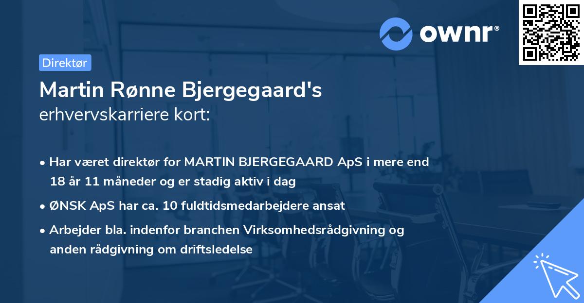 Martin Rønne Bjergegaard's erhvervskarriere kort