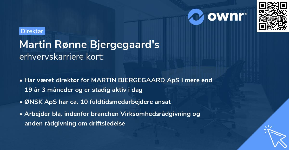 Martin Rønne Bjergegaard's erhvervskarriere kort