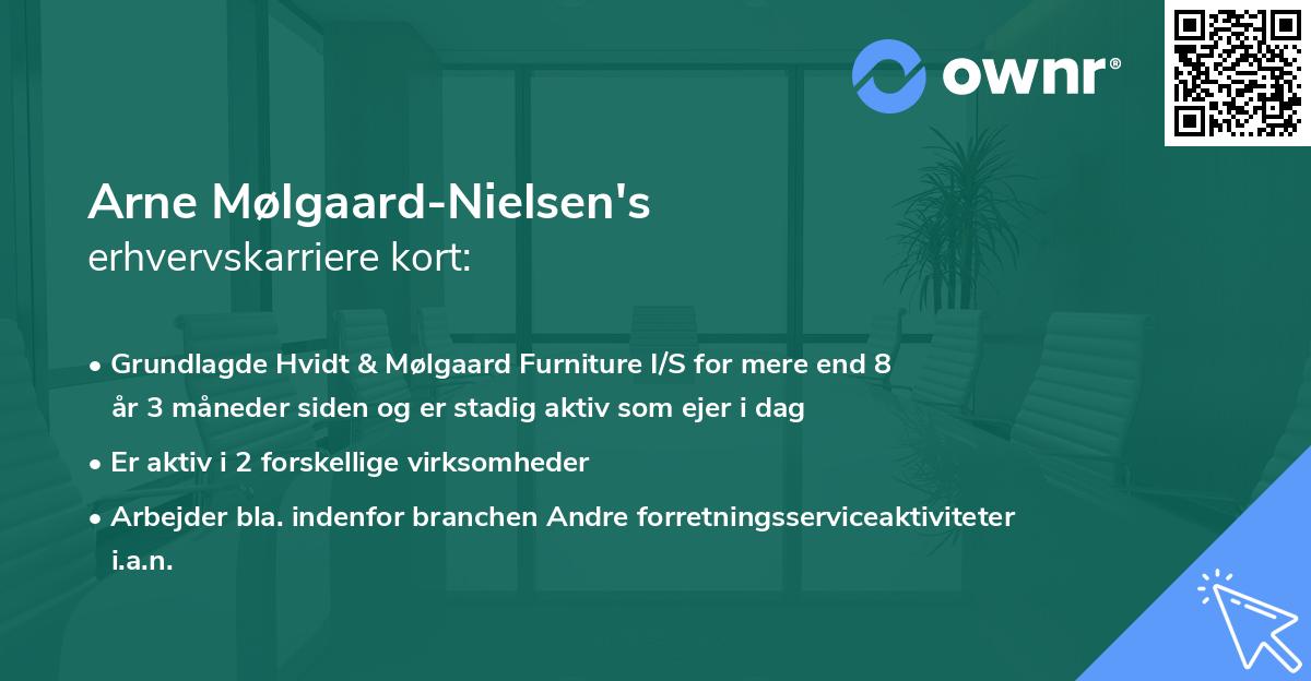 Arne Mølgaard-Nielsen's erhvervskarriere kort