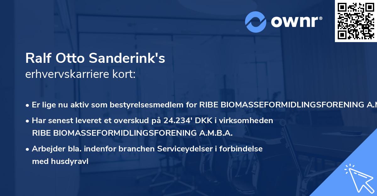 Ralf Otto Sanderink's erhvervskarriere kort