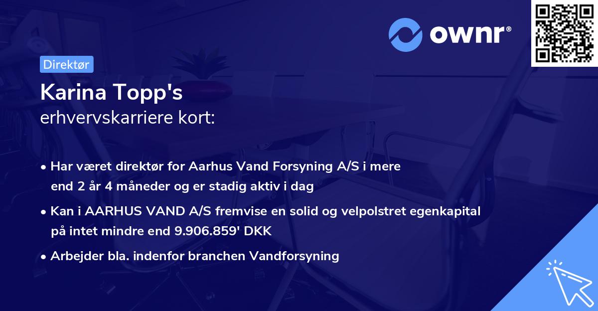 Karina Topp's erhvervskarriere kort