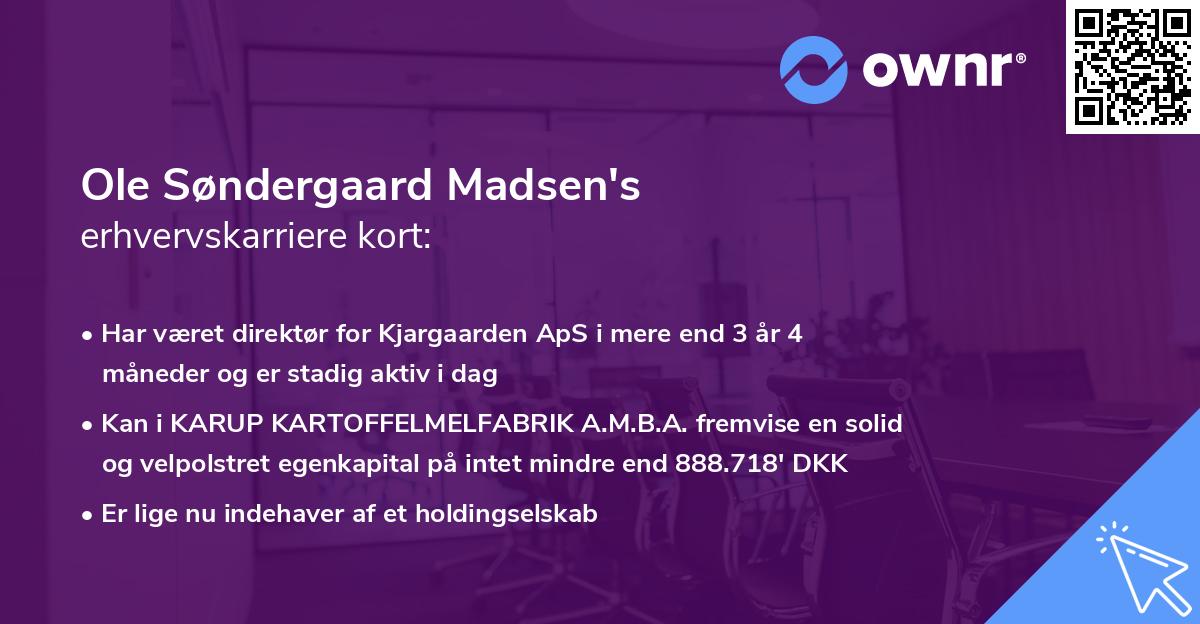 Ole Søndergaard Madsen's erhvervskarriere kort