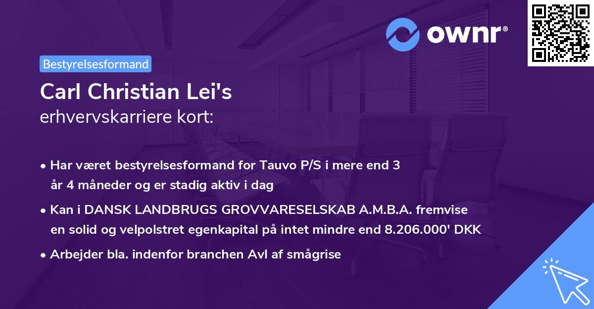 Carl Christian Lei's erhvervskarriere kort