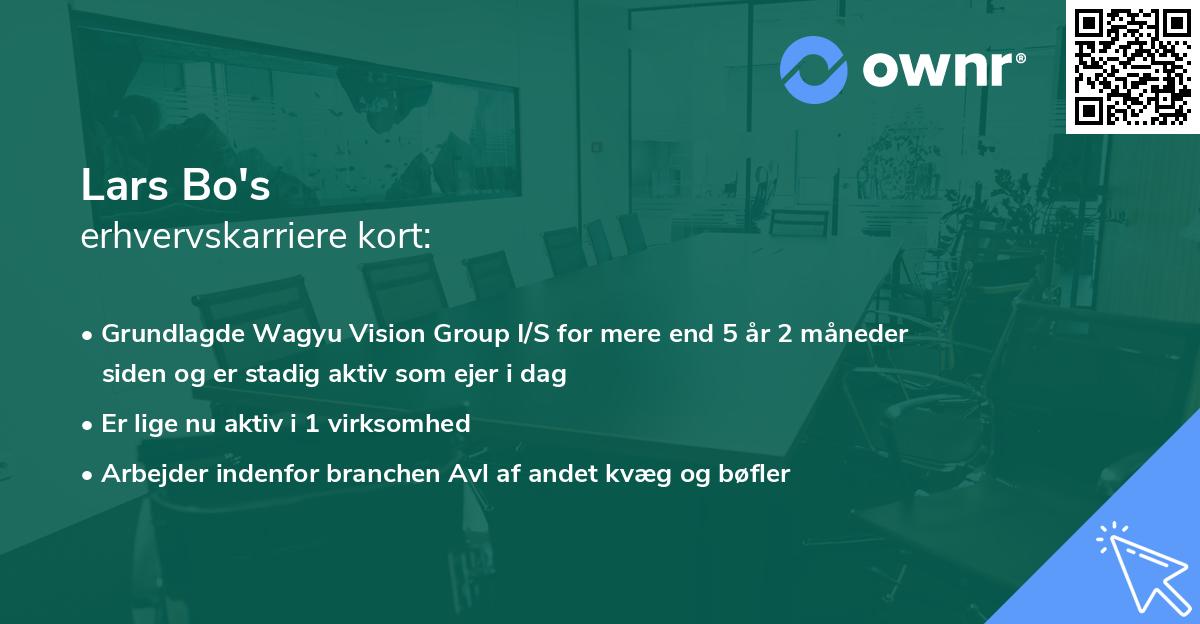 Lars Bo's erhvervskarriere kort