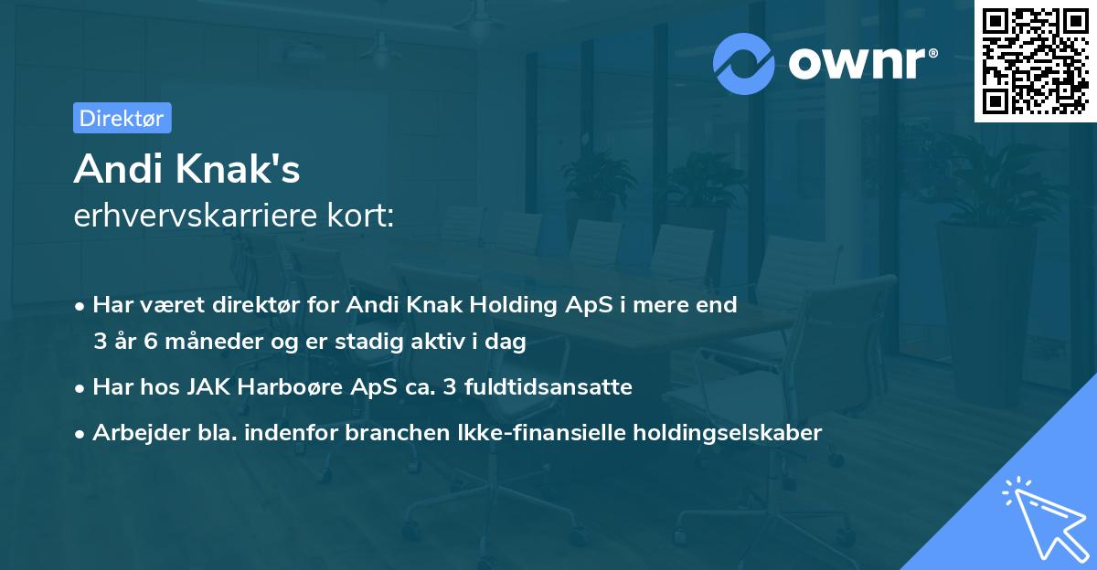 Andi Knak's erhvervskarriere kort