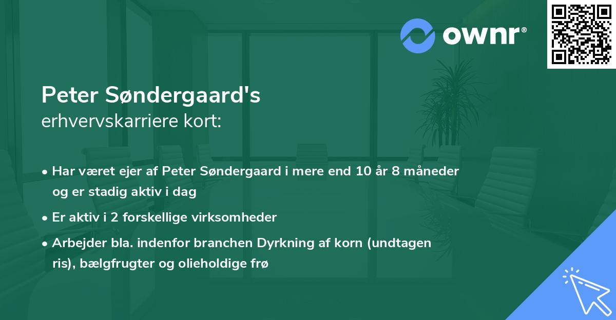 Peter Søndergaard's erhvervskarriere kort