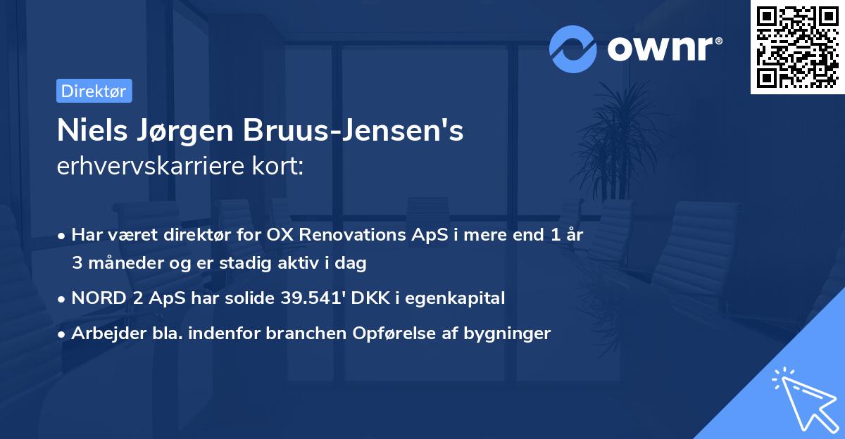 Niels Jørgen Bruus-Jensen's erhvervskarriere kort